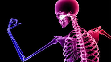 Magnesium For Strong Bones