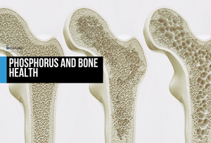 Phosphorus and Bone Health