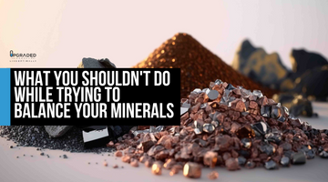 What you SHOULDN'T do while trying to balance your minerals