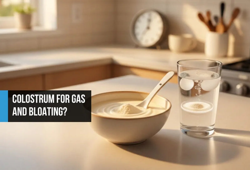 Bowl of pure bovine colostrum powder on a kitchen counter, used for digestive support and bloating relief