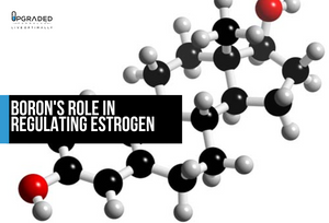 Boron modulates estrogen and testosterone and supports calcium retention, vitamin D and bone