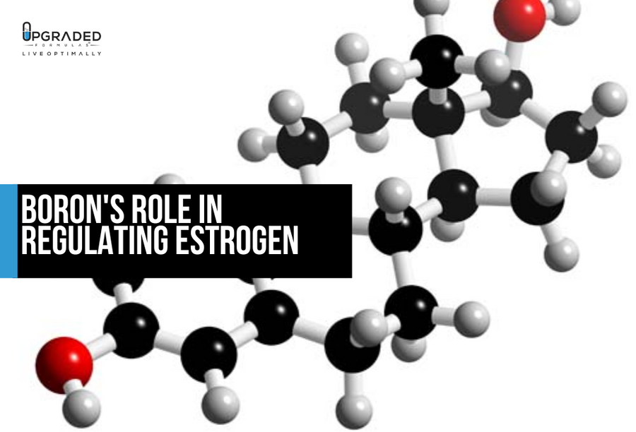 How Boron Can Help Raise Estrogen Upgraded Formulas®