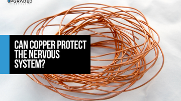 Can Copper Protect The Nervous System?