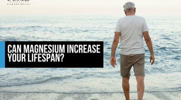 Can Magnesium Increase Your Lifespan?