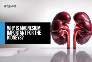 Why Is Magnesium Important For The Kidneys?