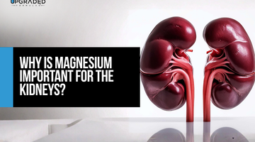 Why Is Magnesium Important For The Kidneys?