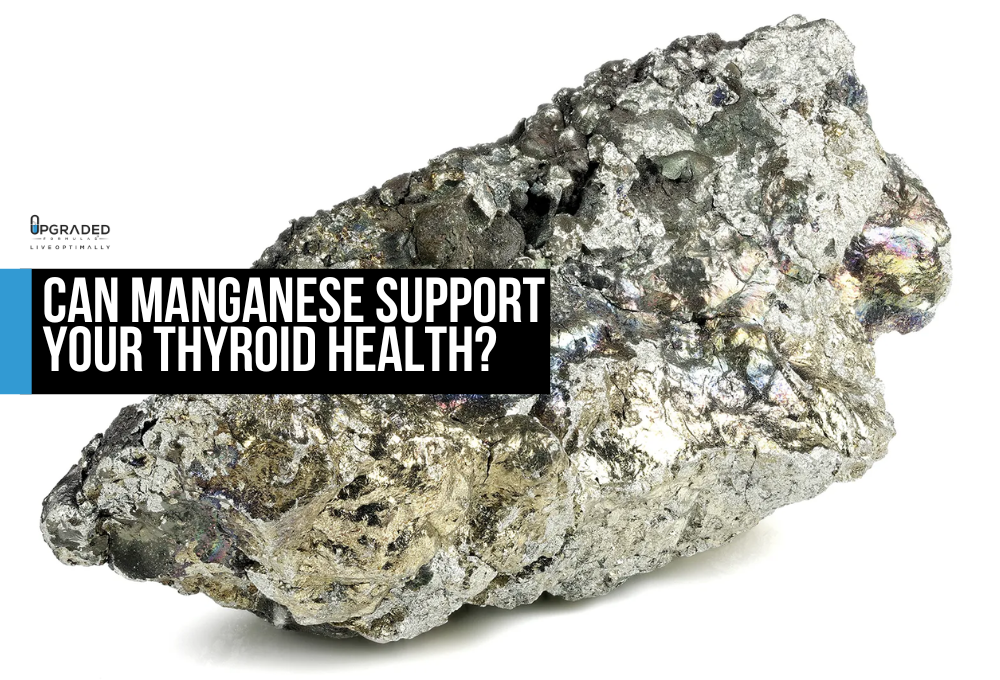 Can Manganese Support Thyroid Health Upgraded Formulas®