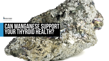 Can Manganese Support Your Thyroid Health?
