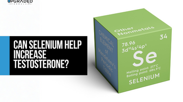 Can Selenium Help Increase Testosterone?