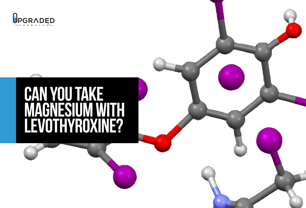 can i take glp 1 while on levothyroxine GLP-1 and Thyroid Medication: Safe Combination Guide Can You Take Magnesium With