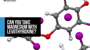 Can You Take Magnesium With Levothyroxine?