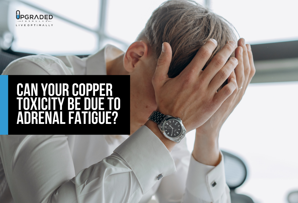 Can Your Copper Toxicity Be Due To Adrenal Fatigue? Upgraded Formulas®