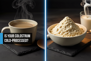 Cold Processing vs. High Heat: Why Temperature Matters for Colostrum