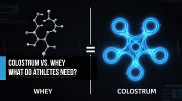 White amino acid chain to muscle labeled WHEY versus four electric blue nodes for gut barrier, immune, inflammation, and growth factors labeled COLOSTRUM with an equals sign between them