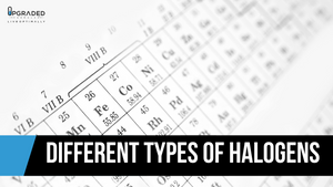 Different Types of Halogens