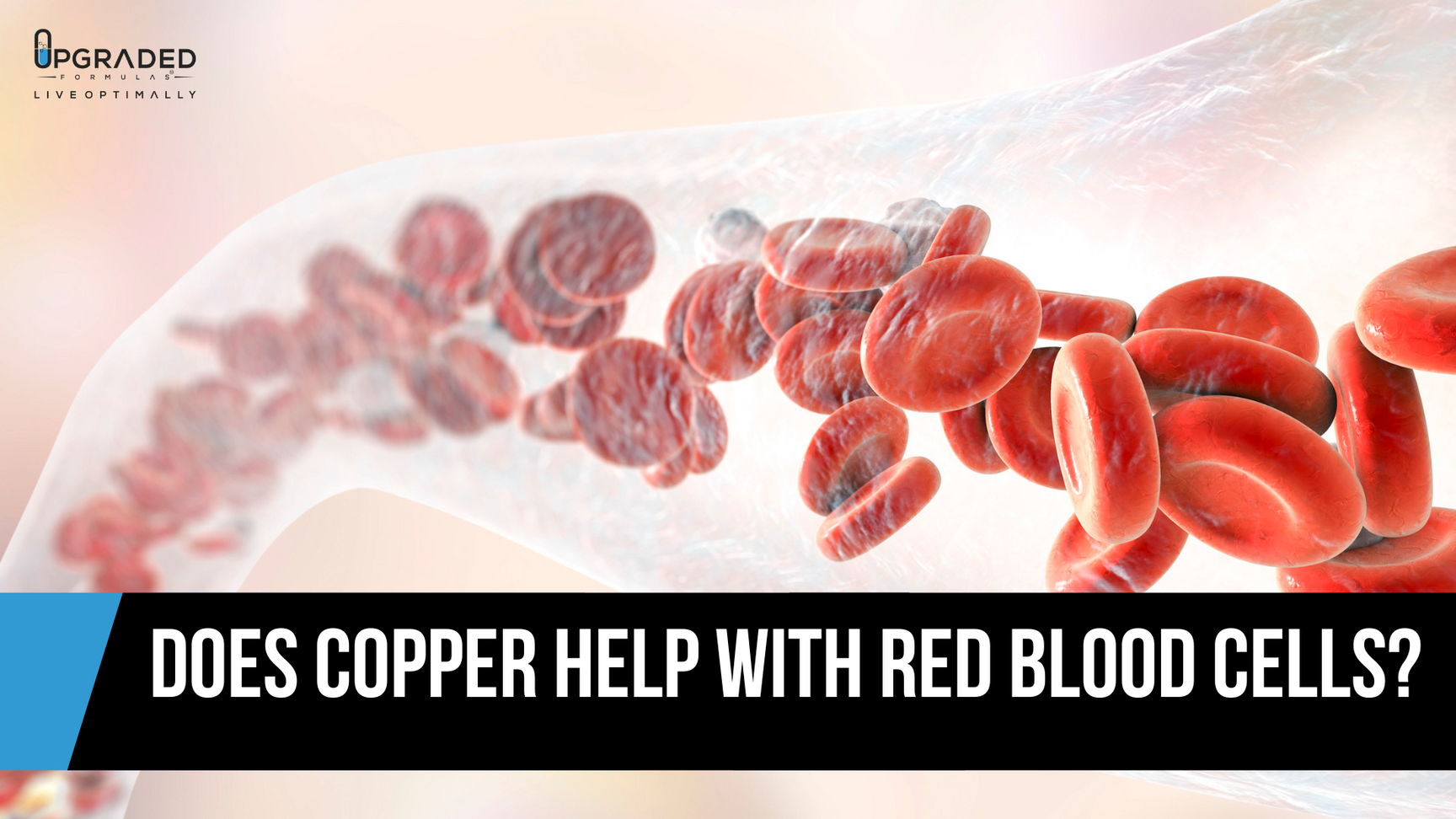 Red Blood Cell Boost The Role of Copper Upgraded Formulas®