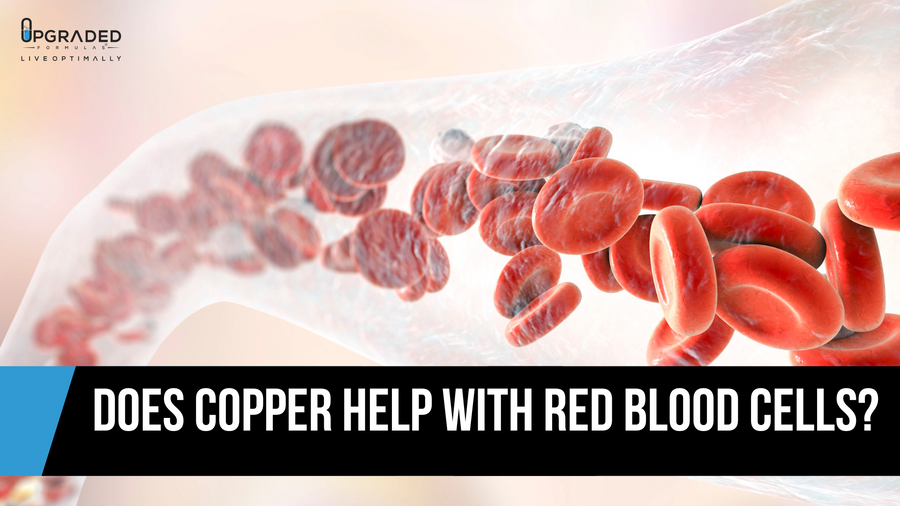 Red Blood Cell Boost The Role of Copper Upgraded Formulas®