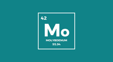 The Lo Down On Molybdenum