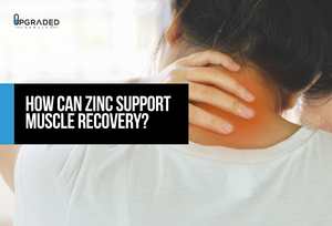 How Can Zinc Support Muscle Recovery?