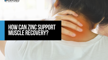 How Can Zinc Support Muscle Recovery?