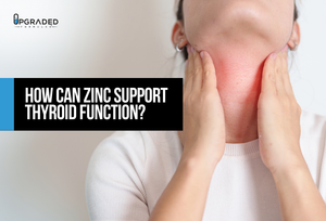 How Can Zinc Support Thyroid Function?