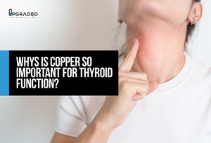 Why Is Copper So Important For Thyroid Function?