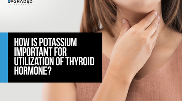 How Is Potassium Important For Utilization Of Thyroid Hormone?