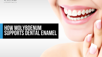 How Molybdenum Supports Dental Enamel