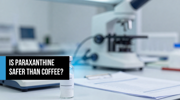 Pharmaceutical-grade crystalline powder in a glass vial on a lab surface beside a precision scale and safety report — representing paraxanthine's rigorous toxicology testing and GRAS-affirmed purity standards.