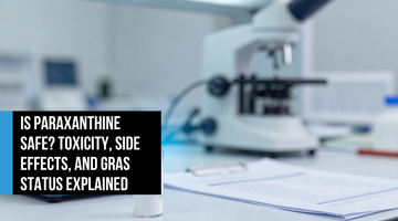 Pharmaceutical-grade crystalline powder in a glass vial on a lab surface beside a precision scale and safety report — representing paraxanthine's rigorous toxicology testing and GRAS-affirmed purity standards.