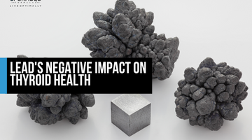 Lead's Negative Impact on Thyroid Health