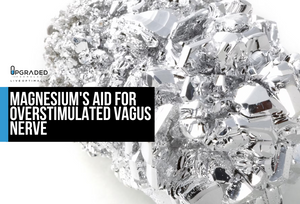 Magnesium's Role In Assisting Vagus Nerve Health