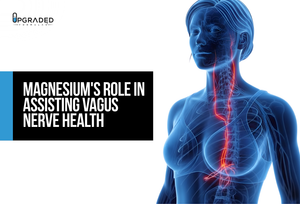 Magnesium's Role In Assisting Vagus Nerve Health