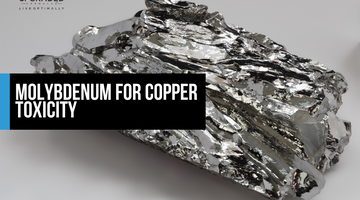 Molybdenum for Copper Toxicity