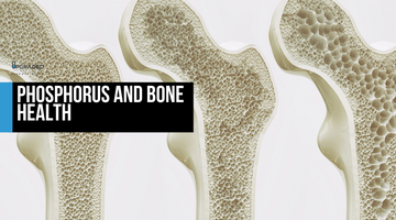 Phosphorus and Bone Health
