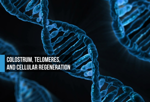 Electric blue DNA double helix structures on black background with text: Colostrum, Telomeres, and Cellular Regeneration