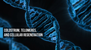 Electric blue DNA double helix structures on black background with text: Colostrum, Telomeres, and Cellular Regeneration