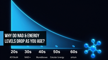 Cinematic data visualization of NAD+ decline across decades with a glowing electric blue energy bar fading from the 20s to 60s, mitochondria icons dimming, and an NMN molecule suggesting restoration.