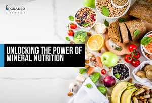 Unlocking the Power of Mineral Nutrition