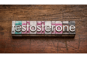 Understanding & Increasing Testosterone
