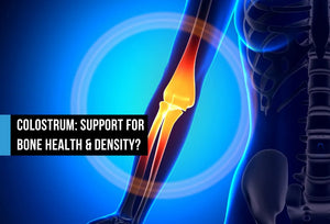 Medical illustration of a glowing knee joint and leg bones highlighted in orange and red against a blue skeletal background, with text overlay reading Colostrum Support for Bone Health and Density?