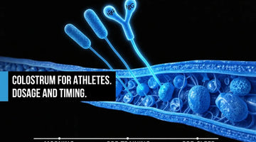 Electric blue muscle fiber cross-section with IGF-1 and IgG structures flowing to recovery tissue, white timeline marking morning, pre-training, and pre-sleep windows on black