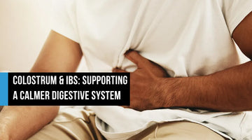 Person clutching their abdomen in discomfort while seated, with text overlay reading Colostrum and IBS Supporting a Calmer Digestive System