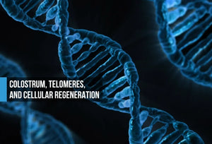 Electric blue DNA double helix structures on black background with text: Colostrum, Telomeres, and Cellular Regeneration