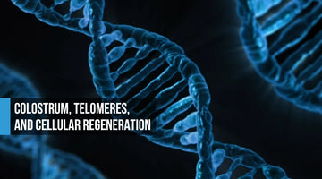Electric blue DNA double helix structures on black background with text: Colostrum, Telomeres, and Cellular Regeneration