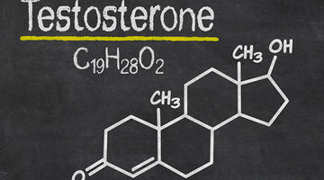The Benefits Of Testosterone