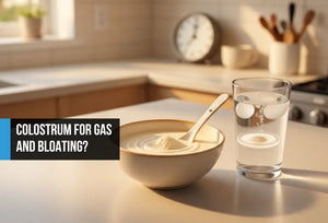 Bowl of pure bovine colostrum powder on a kitchen counter, used for digestive support and bloating relief