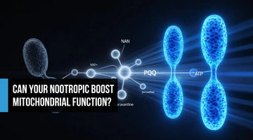 Split scientific concept showing a depleted grey mitochondria transforming into three vivid electric blue mitochondria, representing NMN, PQQ, and paraxanthine restoring NAD+ synthesis, mitochondrial biogenesis, and ATP production.