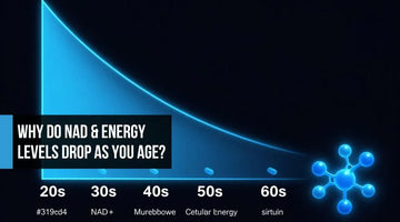 Cinematic data visualization of NAD+ decline across decades with a glowing electric blue energy bar fading from the 20s to 60s, mitochondria icons dimming, and an NMN molecule suggesting restoration.