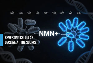 Cinematic scientific concept showing fading grey mitochondria on the left and vivid electric blue restored mitochondria on the right, with an NMN molecular structure bridging the transformation on a matte black background